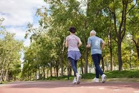 多特主场能否零封残阵圣保利？